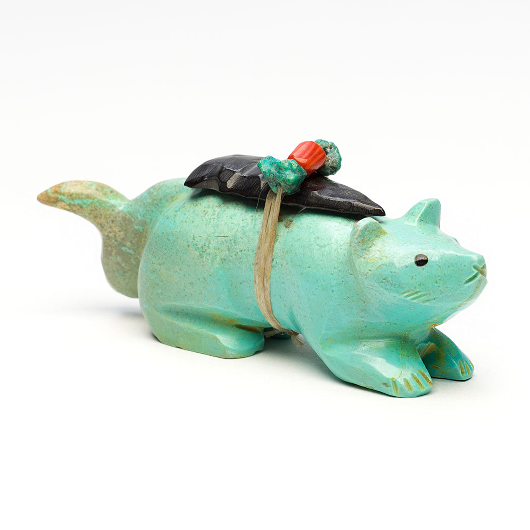 Long-Tailed Mountain Lion