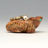 Sun-Soaking Horned Lizard