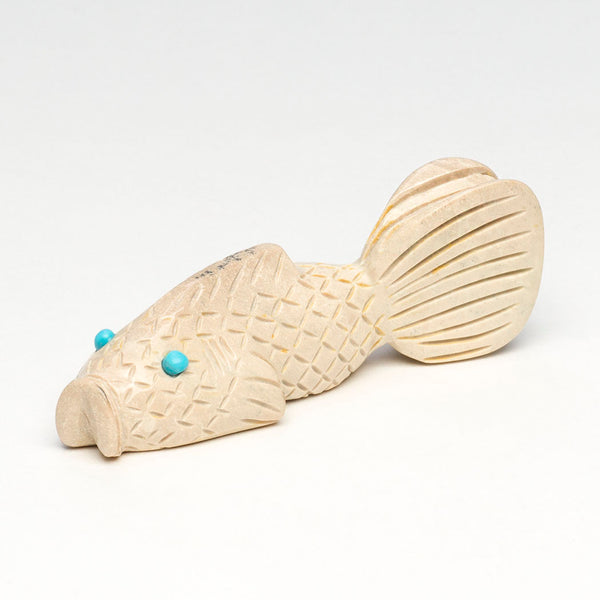 Beneficial Bottom Feeder Fish