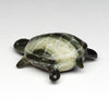 Basking Turtle