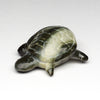 Basking Turtle
