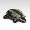 Basking Turtle