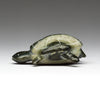 Basking Turtle