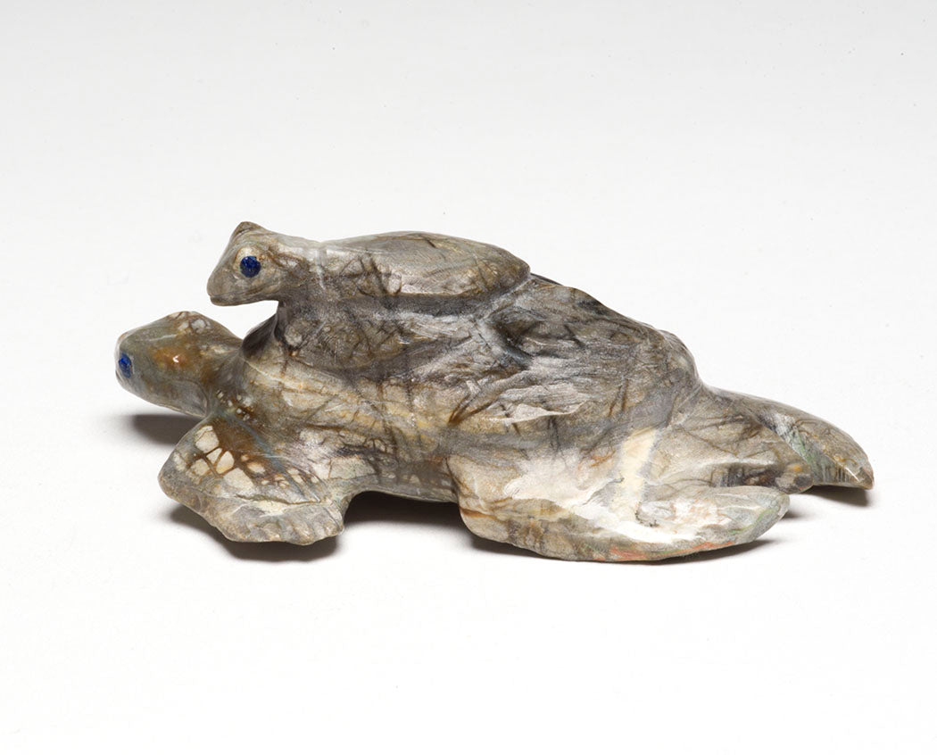 Loving Mother Turtle & Hatchling