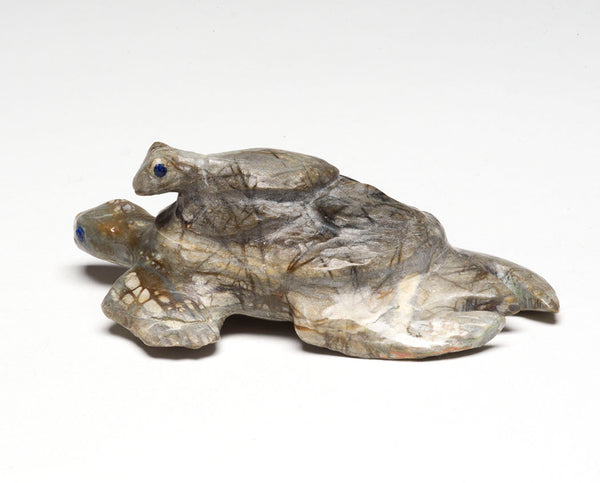 Loving Mother Turtle & Hatchling