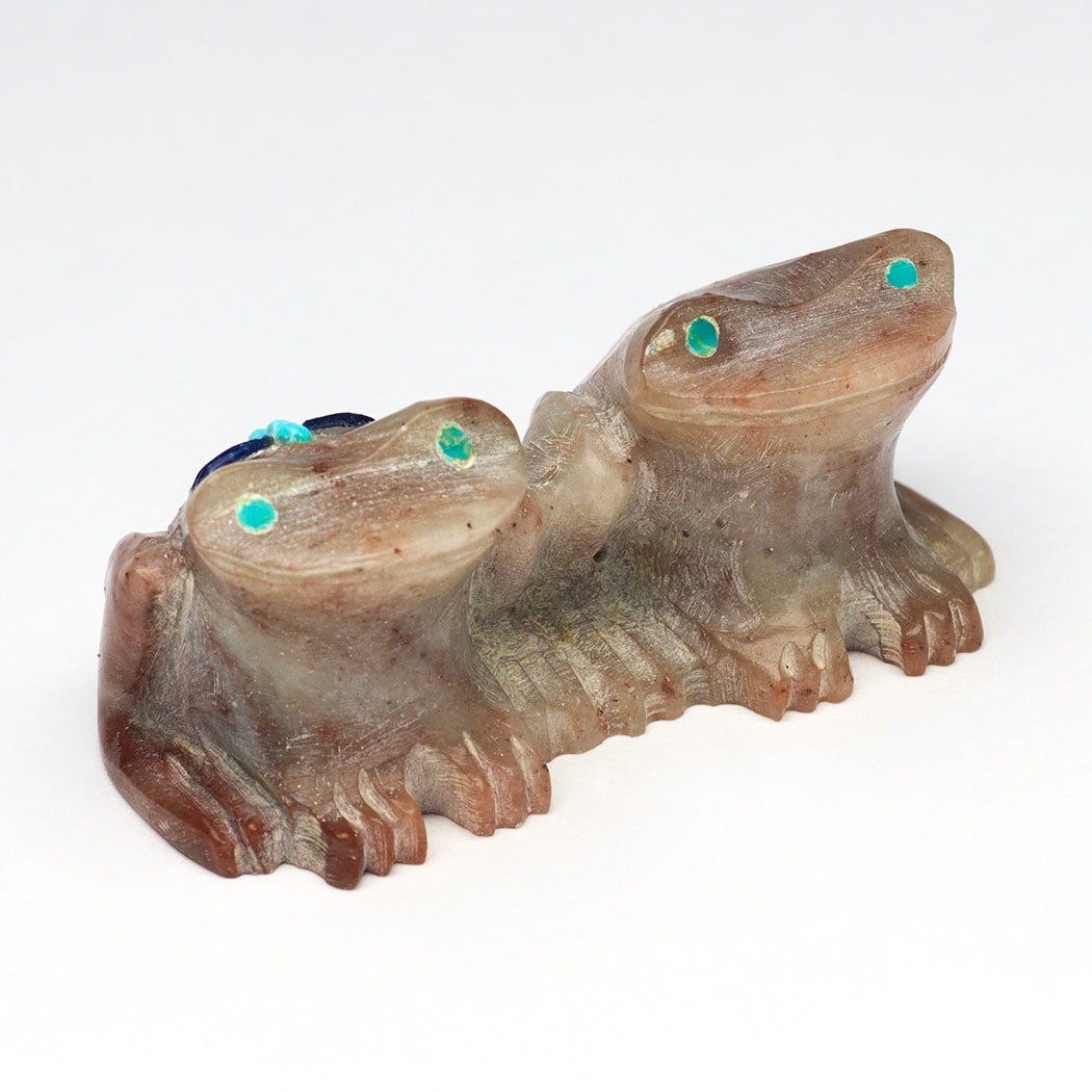 We Love Rain Frogs & Dragonfly