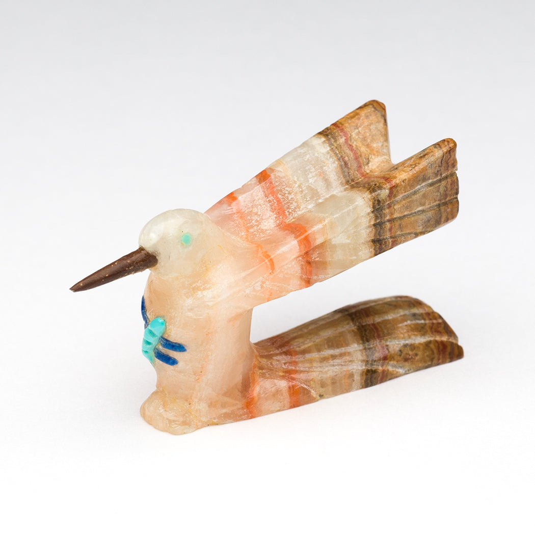 Little Jewel Hummingbird