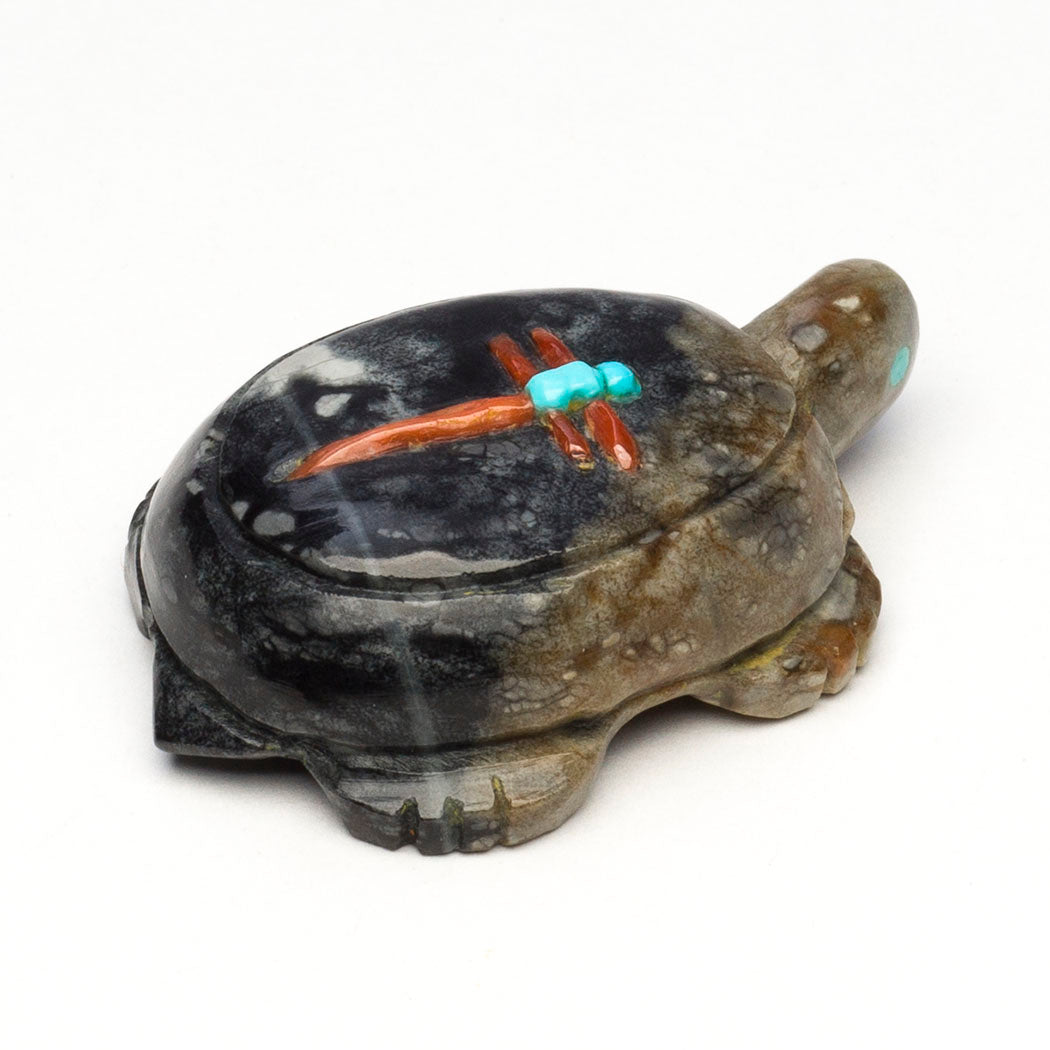 The Quest To Quench Turtle & Dragonfly