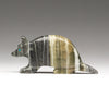 Super Sniffer Armadillo