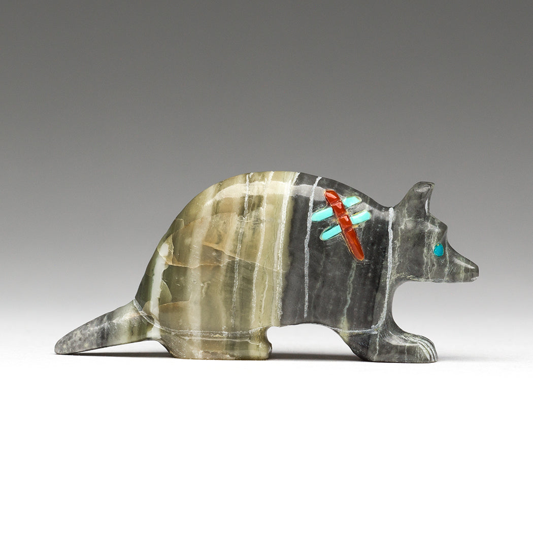 Super Sniffer Armadillo