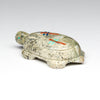 Turtle & Dragonfly Expedition