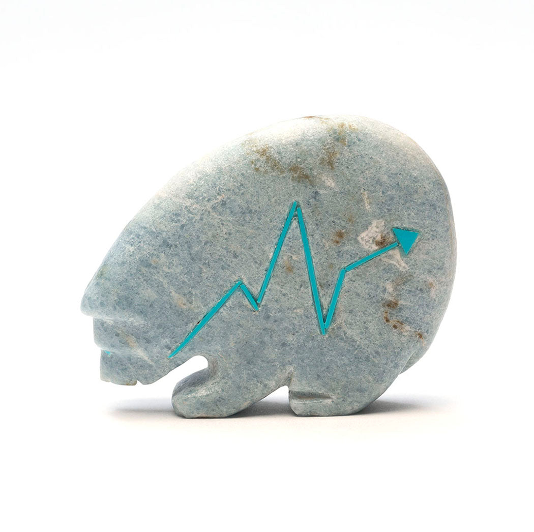 Healing Spirit Medicine Bear