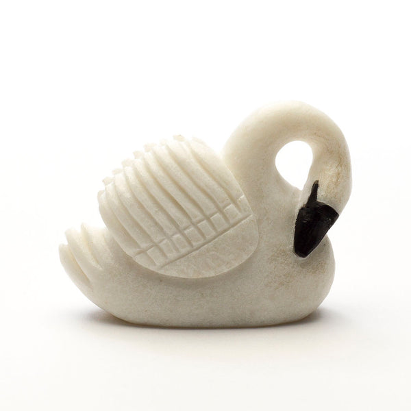 Gentle Swan