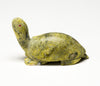 Smooth Moves Softshell Turtle