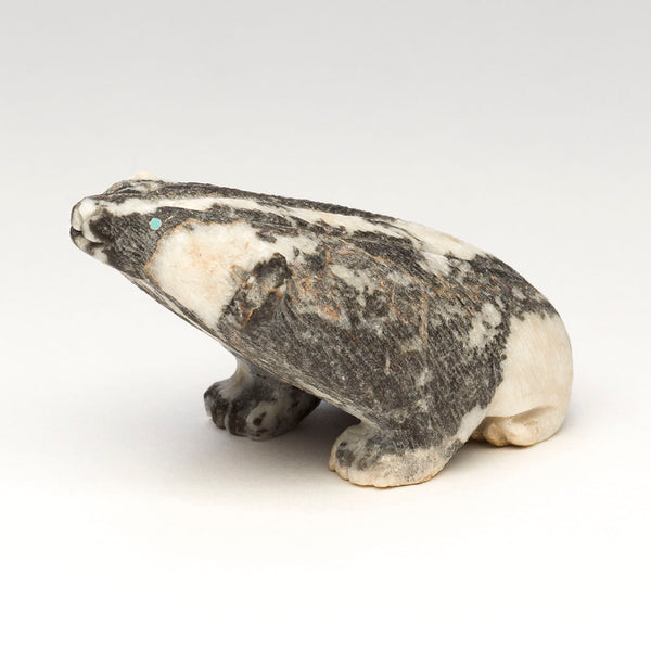 Unflinching Badger Friend