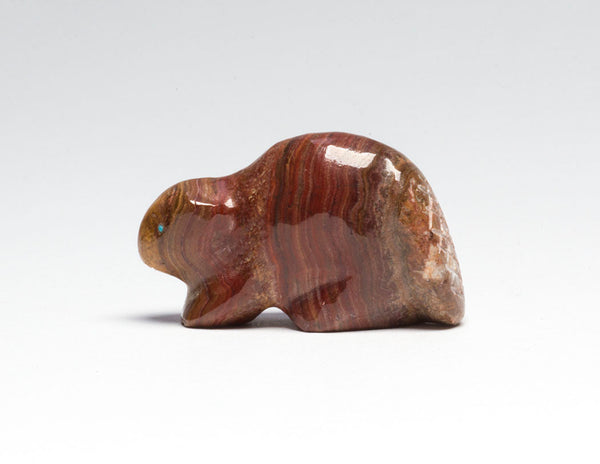 Beaver Renovator