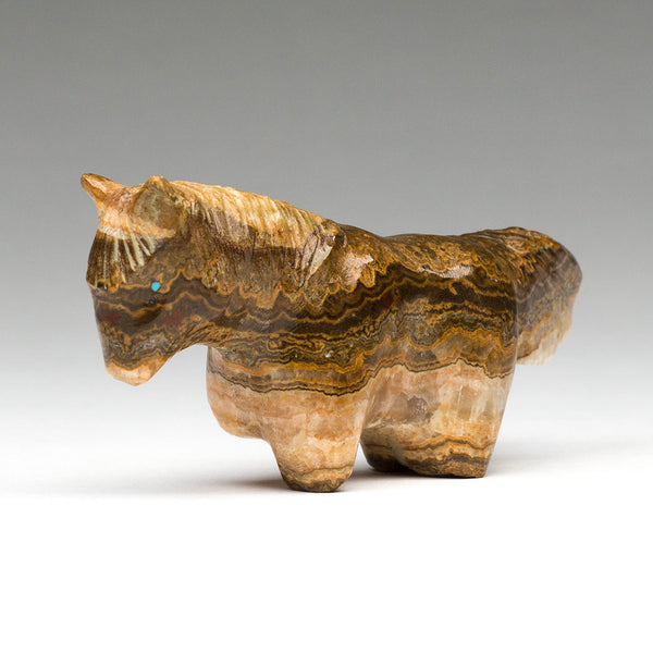 Stomping Horse