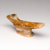 Courting Roadrunner