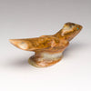 Courting Roadrunner