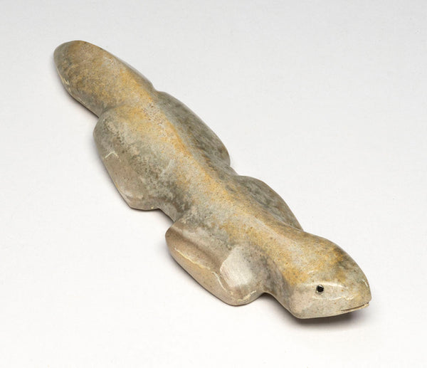 Chasing Your Dreams Lizard