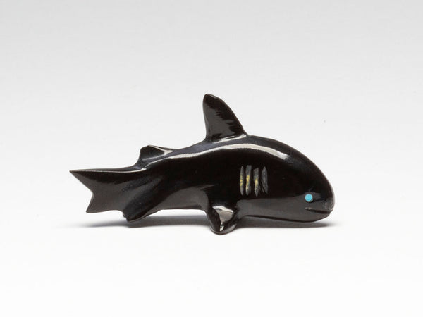 Territorial Shark