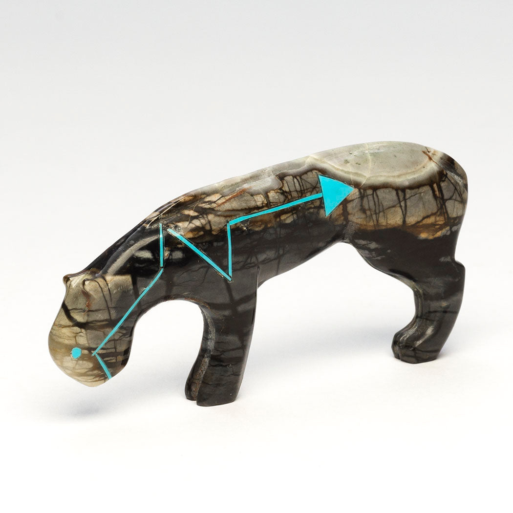 Walk The Walk Mountain Lion