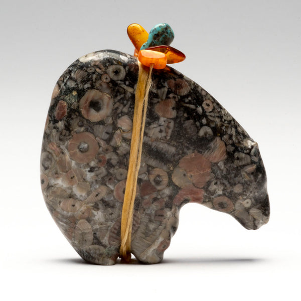 Crinoid Marble Medicine Bear