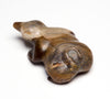 Petrified Wood Mole