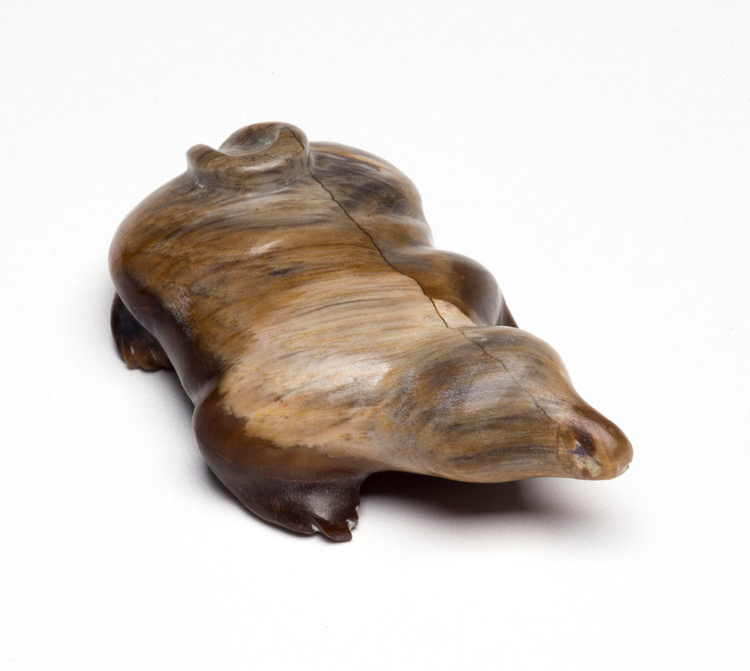 Petrified Wood Mole