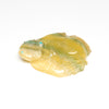 Rainbow Fluorite Frog