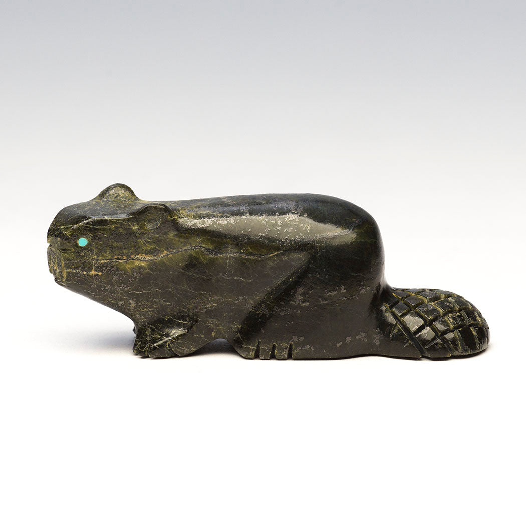 Green Algae Beaver