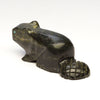Green Algae Beaver