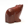 Cinnamon Black Bear