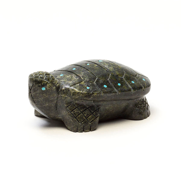 Marshy Meadow Turtle