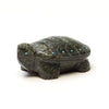 Marshy Meadow Turtle