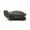 Marshy Meadow Turtle