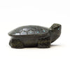 Marshy Meadow Turtle