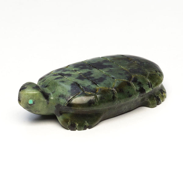 Plant Propagator Turtle