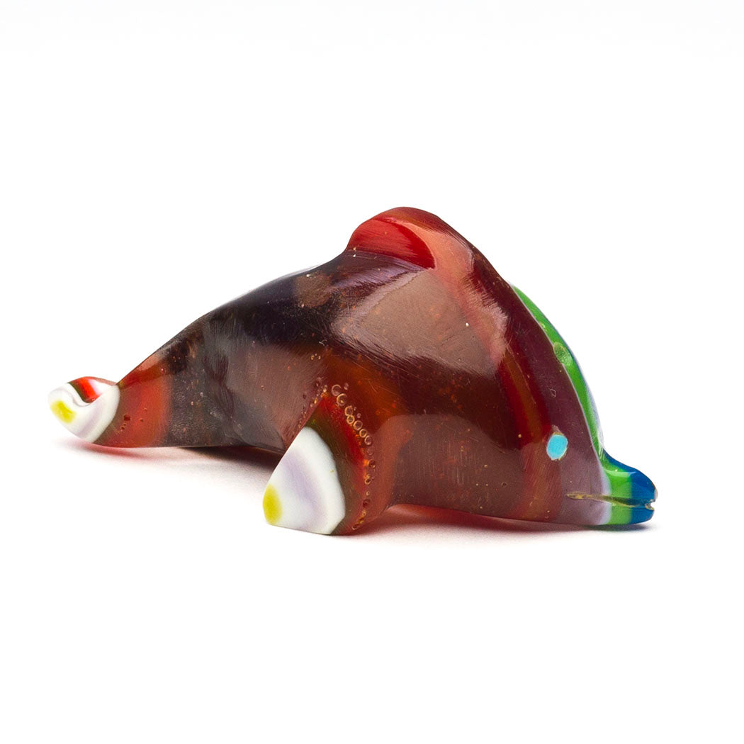 Splish Splash Dolphin