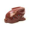 Spotted Bunny