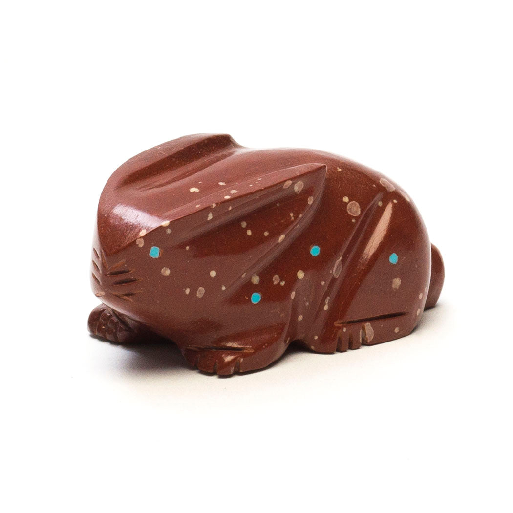 Spotted Bunny
