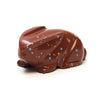 Spotted Bunny