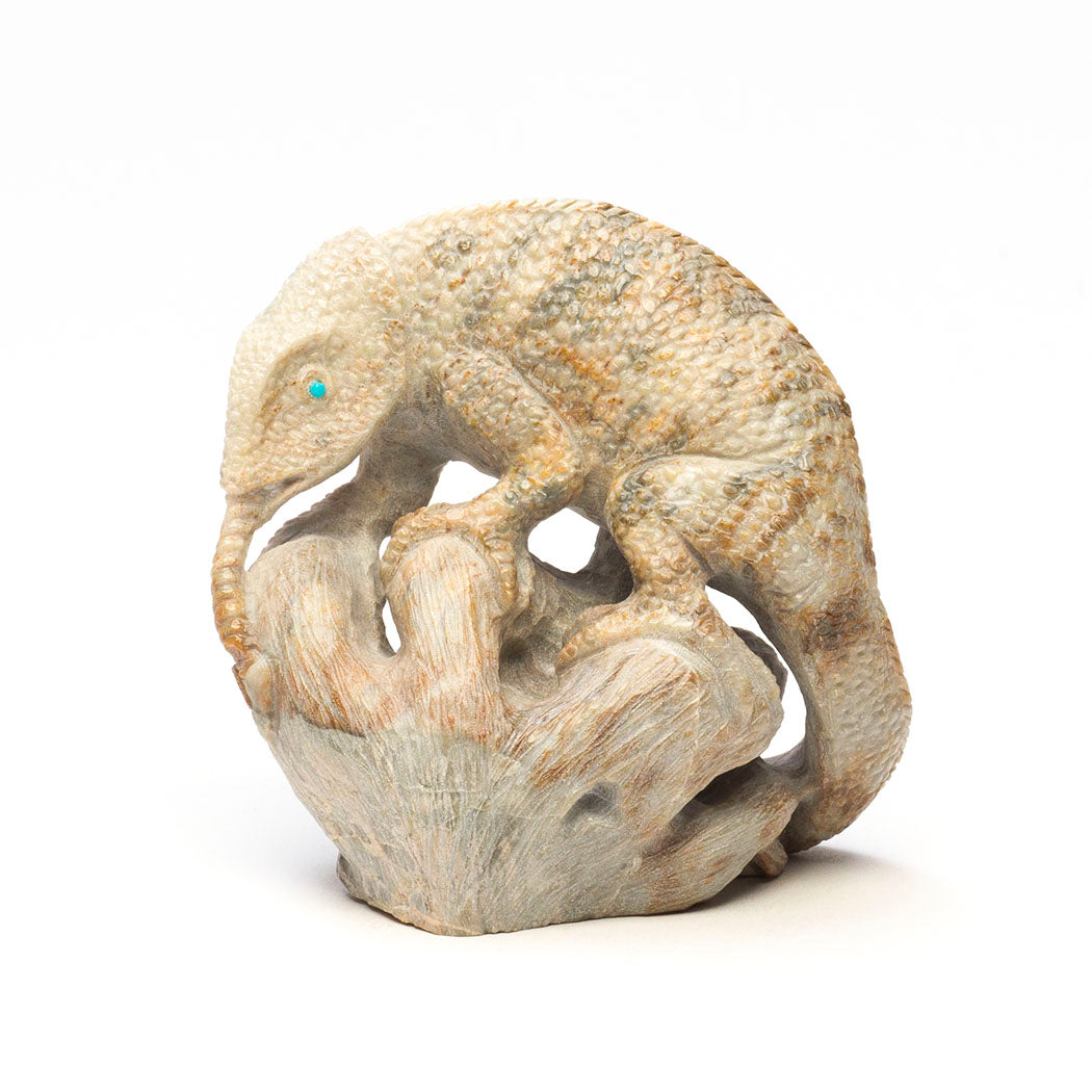 Otherwordly Chameleon