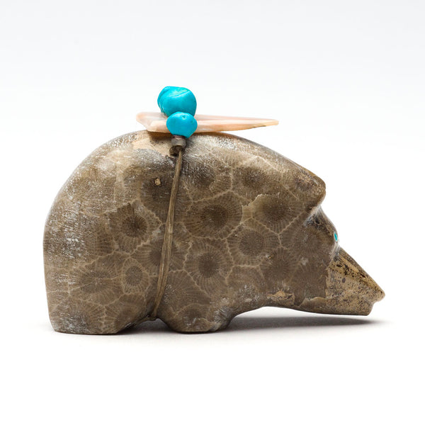 Petoskey Stone Bear
