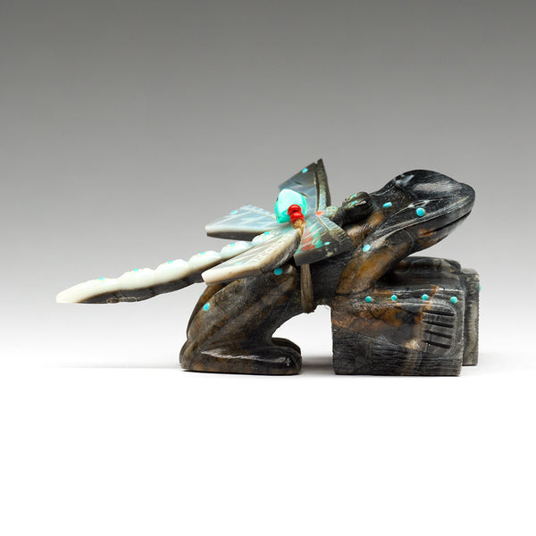 Continuum Of Life Frog & Dragonfly Protectors