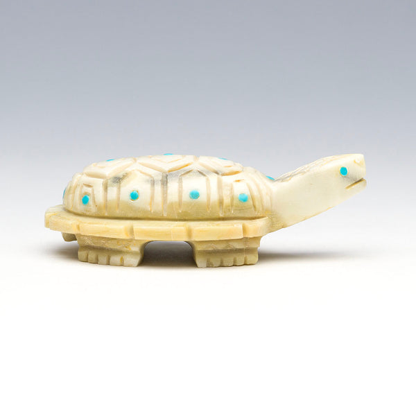 Mother Earth Turtle