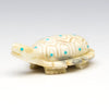 Mother Earth Turtle