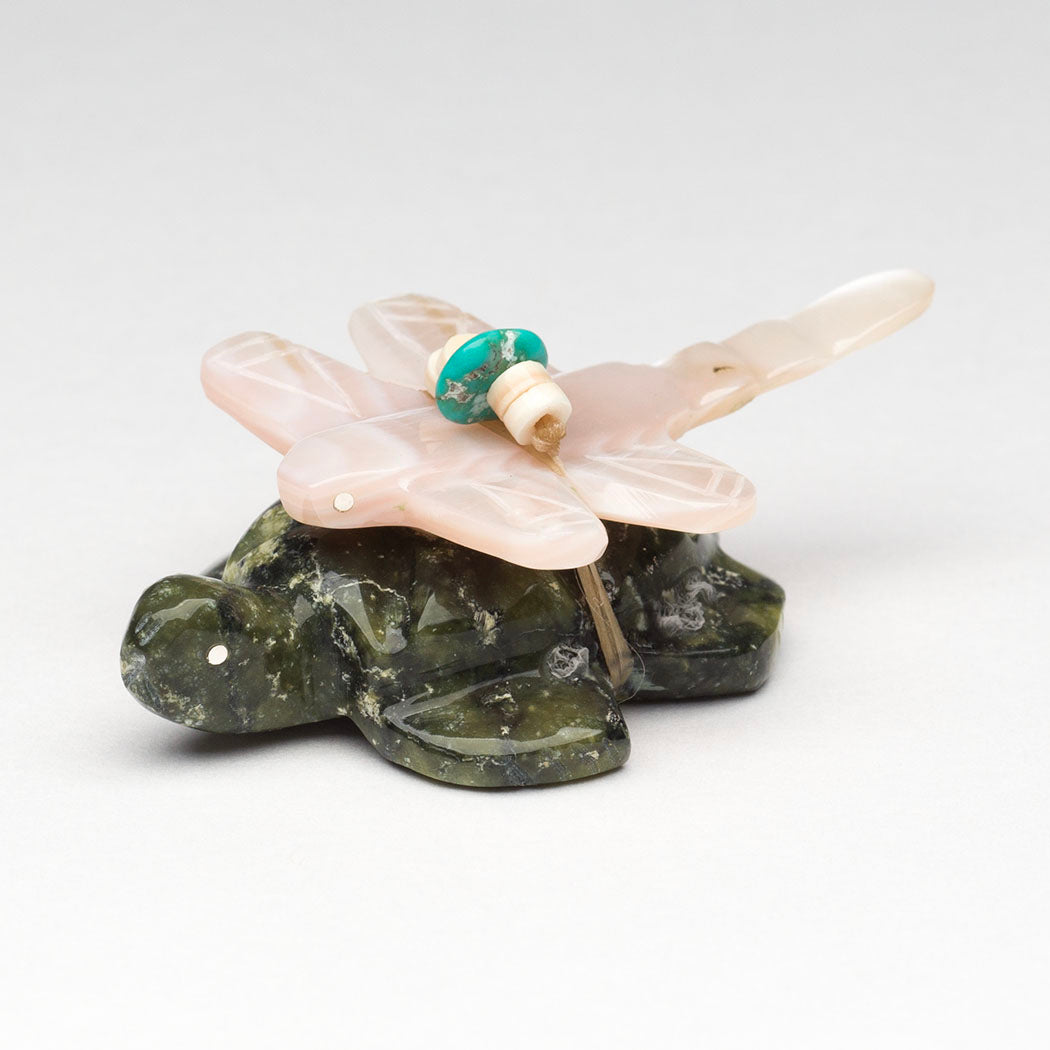 Dragonfly & Turtle Interconnectedness