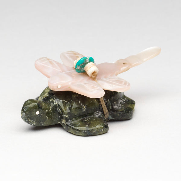 Dragonfly & Turtle Interconnectedness