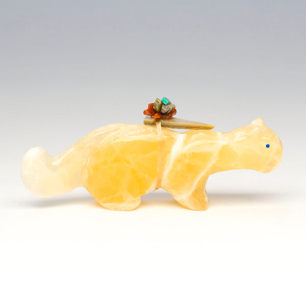 Territorial Mountain Lion